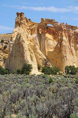 DSC_2523.jpg (4288x2848) NIKON D300 - 18-200mm f/3.5-5.6 // F7,1 // 1/200 sec // ISO 200 // 52,0 mm // no Flash // 2008:07:15 11:31:30 DSC_2523.jpg (4288x2848) NIKON D300 - 18-200mm f/3.5-5.6 // F7,1 // 1/200 sec // ISO 200 // 52,0 mm // no Flash // 2008:07:15 11:31:30